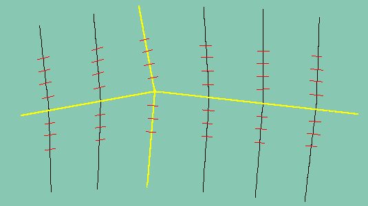 faza4.jpg (14261 byte)